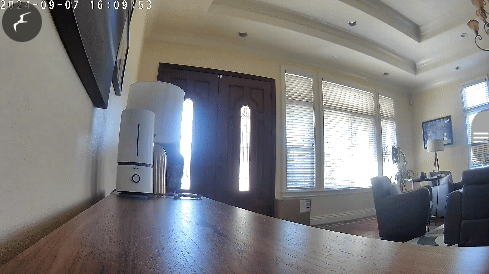 Dynamic Status Messages